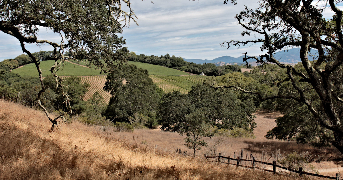 Mt. Helena from Chalk Hills Valley with rolling Sonoma County hillsides